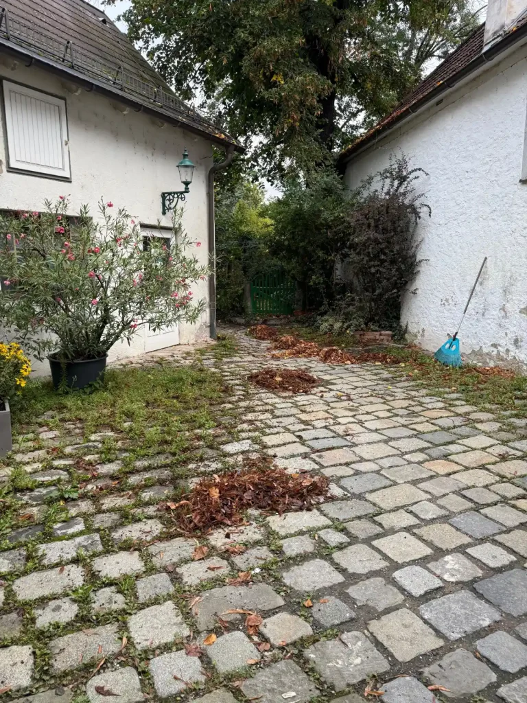 Hausbetreuung wien Einfahrt