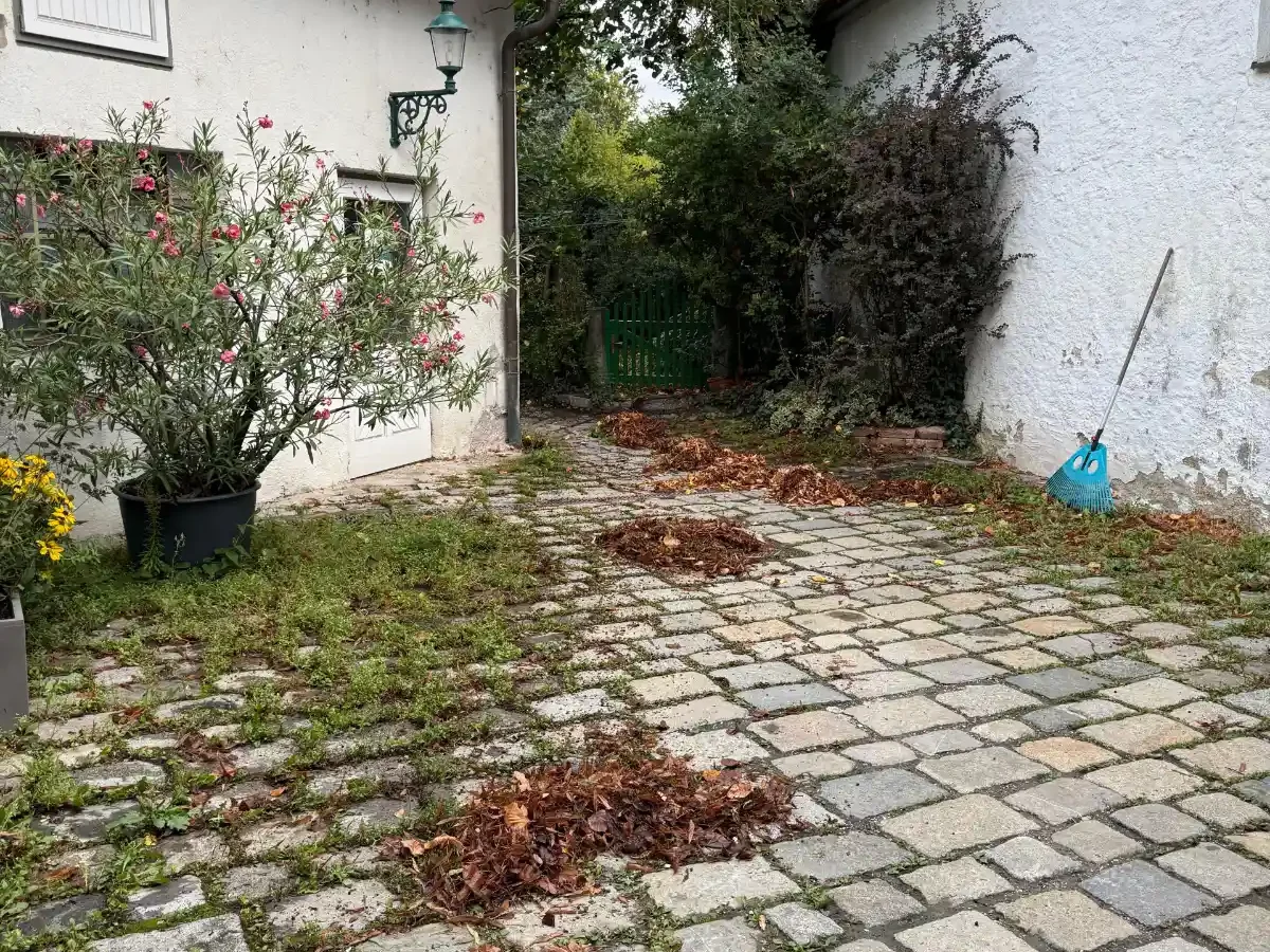 Hausbetreuung wien Einfahrt