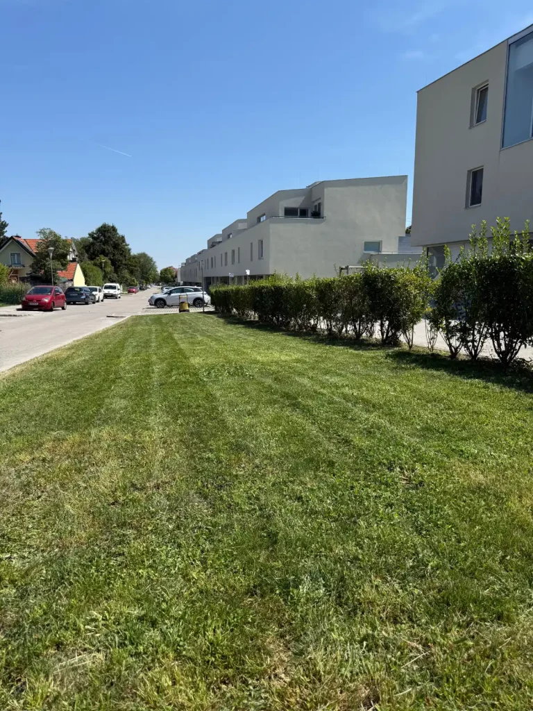 Hausbetreuung wien Vorgarten