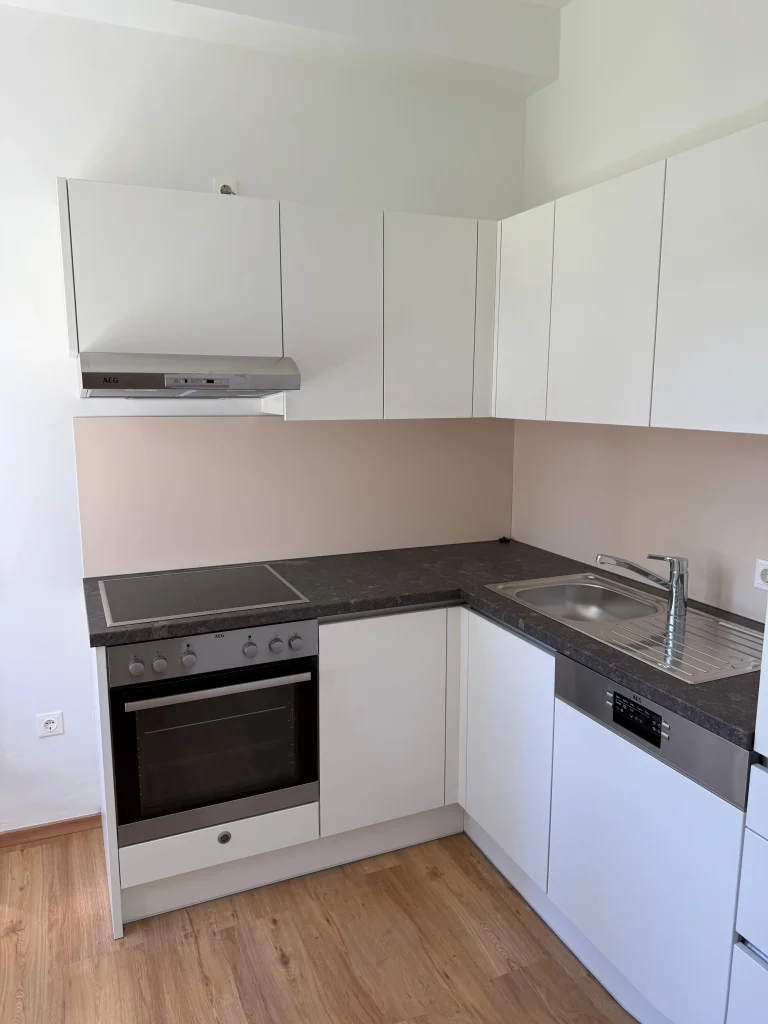 Messie Wohnung reinigen Wien küche