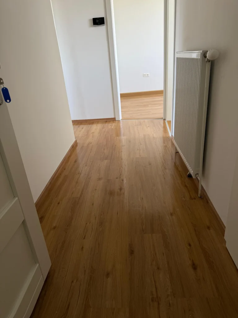 Messie Wohnung reinigen wien Wohnungsflur