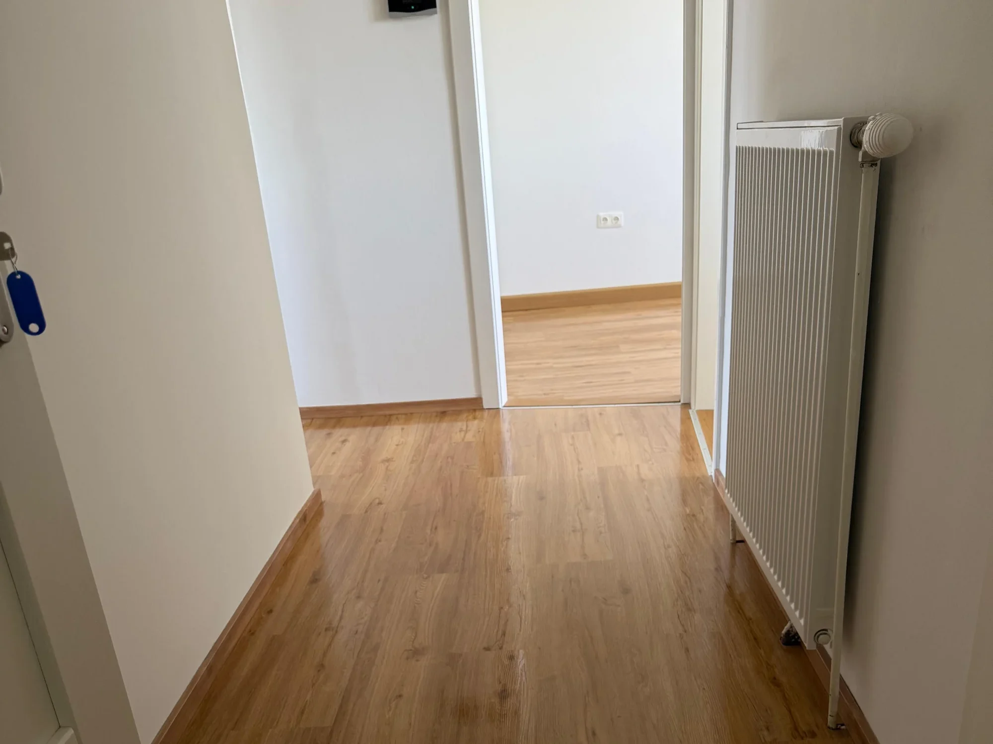Messie Wohnung reinigen wien Wohnungsflur